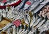 Denizlerin zenginliği olan balık ve deniz ürünleri, sağlıklı beslenmenin temel taşlarından biri olarak mutfaklarda önemli bir yer tutar. Omega-3 yağ asitleri, protein ve vitaminler açısından zengin olan bu ürünler, hem hafif hem de lezzetli yemek alternatifleri sunar. Özellikle Akdeniz ve Ege mutfağında sıkça tercih edilen balık ve deniz ürünleri, sağlıklı yaşam trendleriyle birlikte daha da popüler hale gelmiştir. Konulu bir haber görseli.