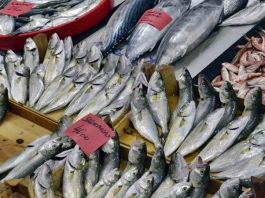 Balık Ve Deniz Ürünleri Sofraların Sağlıklı Lezzeti Denizlerin zenginliği olan balık ve deniz ürünleri, sağlıklı beslenmenin temel taşlarından biri olarak mutfaklarda önemli bir yer tutar. Omega-3 yağ asitleri, protein ve vitaminler açısından zengin olan bu ürünler, hem hafif hem de lezzetli yemek alternatifleri sunar. Özellikle Akdeniz ve Ege mutfağında sıkça tercih edilen balık ve deniz ürünleri, sağlıklı yaşam trendleriyle birlikte daha da popüler hale gelmiştir. Konulu bir haber görseli.