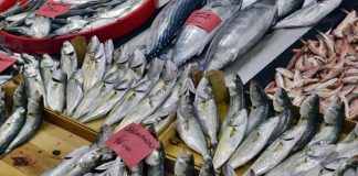 Denizlerin zenginliği olan balık ve deniz ürünleri, sağlıklı beslenmenin temel taşlarından biri olarak mutfaklarda önemli bir yer tutar. Omega-3 yağ asitleri, protein ve vitaminler açısından zengin olan bu ürünler, hem hafif hem de lezzetli yemek alternatifleri sunar. Özellikle Akdeniz ve Ege mutfağında sıkça tercih edilen balık ve deniz ürünleri, sağlıklı yaşam trendleriyle birlikte daha da popüler hale gelmiştir. Konulu bir haber görseli.