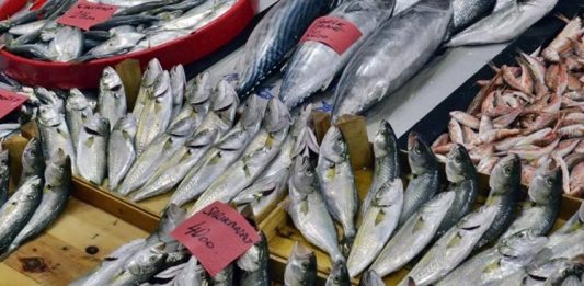 Balık Ve Deniz Ürünleri Sofraların Sağlıklı Lezzeti Denizlerin zenginliği olan balık ve deniz ürünleri, sağlıklı beslenmenin temel taşlarından biri olarak mutfaklarda önemli bir yer tutar. Omega-3 yağ asitleri, protein ve vitaminler açısından zengin olan bu ürünler, hem hafif hem de lezzetli yemek alternatifleri sunar. Özellikle Akdeniz ve Ege mutfağında sıkça tercih edilen balık ve deniz ürünleri, sağlıklı yaşam trendleriyle birlikte daha da popüler hale gelmiştir. Konulu bir haber görseli.