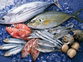 Ege Bölgesi, hem zeytin üretimi hem de balık çeşitliliği açısından Türkiye’nin en zengin coğrafyalarından biridir. Ege’nin doğal iklimi ve deniz ekosistemi, hem kaliteli zeytin yetiştiriciliğine hem de çeşitli balık türlerinin bolca avlanmasına olanak sağlar. Bu iki doğal ürün, Ege mutfağının temel taşlarını oluşturur ve sofralara hem sağlık hem de eşsiz tatlar getirir. Zeytin ve balık, bölge halkının günlük beslenmesinde önemli bir yere sahip olmakla birlikte, Türkiye’nin diğer bölgelerinde de giderek daha fazla rağbet görmektedir. Konulu bir haber görseli.