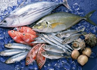 Ege’nin Zeytin Ve Balıklarıyla Sofralara Gelen Doğal Lezzetler Ege Bölgesi, hem zeytin üretimi hem de balık çeşitliliği açısından Türkiye’nin en zengin coğrafyalarından biridir. Ege’nin doğal iklimi ve deniz ekosistemi, hem kaliteli zeytin yetiştiriciliğine hem de çeşitli balık türlerinin bolca avlanmasına olanak sağlar. Bu iki doğal ürün, Ege mutfağının temel taşlarını oluşturur ve sofralara hem sağlık hem de eşsiz tatlar getirir. Zeytin ve balık, bölge halkının günlük beslenmesinde önemli bir yere sahip olmakla birlikte, Türkiye’nin diğer bölgelerinde de giderek daha fazla rağbet görmektedir. Konulu bir haber görseli.