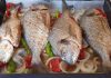 Et ve balık, mutfaklarda lezzet açısından öne çıkan iki temel besin grubudur. Et ve balık özel pişirme yöntemleri, bu besinlerin dokusunu ve aromasını korumak, aynı zamanda sofralarda görsel olarak öne çıkmasını sağlamak için uygulanır. Etin ve balığın doğru pişirme teknikleriyle hazırlanması, hem sağlık hem de tat açısından büyük fark yaratır. Konulu bir haber görseli.