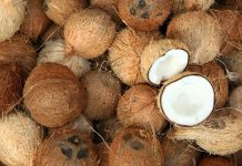 Hindistancevizi yağı, mutfaklarda hem sağlıklı hem de aromatik bir pişirme malzemesi olarak öne çıkar. Hindistancevizi yağıyla pişirme, yiyeceklerin doğal lezzetini korumasına ve aroma kazanmasına yardımcı olur. Özellikle kavurma tekniklerinde bu yağ, yiyeceklerin dış yüzeyini hafifçe kızartırken iç dokusunu yumuşak bırakır. Konulu bir haber görseli.