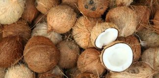 Hindistancevizi yağı, mutfaklarda hem sağlıklı hem de aromatik bir pişirme malzemesi olarak öne çıkar. Hindistancevizi yağıyla pişirme, yiyeceklerin doğal lezzetini korumasına ve aroma kazanmasına yardımcı olur. Özellikle kavurma tekniklerinde bu yağ, yiyeceklerin dış yüzeyini hafifçe kızartırken iç dokusunu yumuşak bırakır. Konulu bir haber görseli.