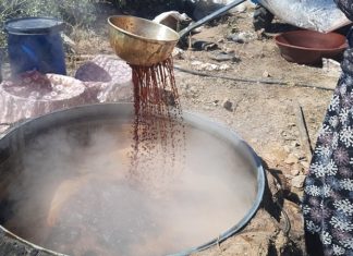 Pekmez Kaynatma: Doğal Tatlıların Geleneksel Hazırlığı Pekmez kaynatma tekniği, tat ve kıvam açısından en kaliteli sonucu verir.