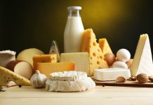 Peynir ve süt ürünleri, protein, kalsiyum, fosfor ve vitaminler açısından zengin bir besin kaynağıdır.