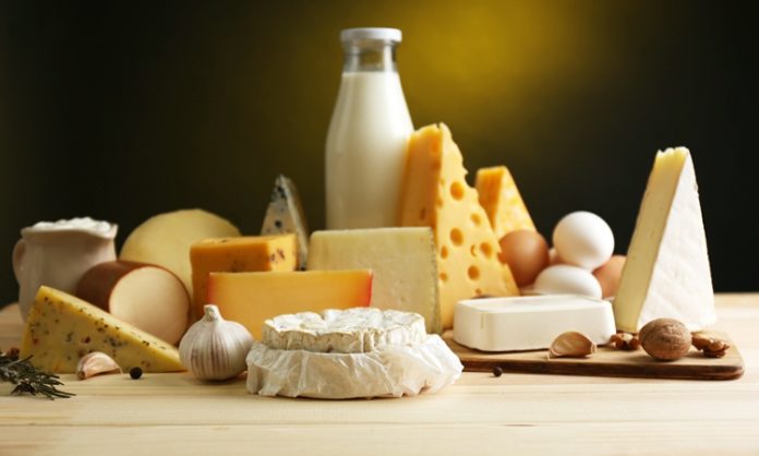 Peynir ve süt ürünleri, protein, kalsiyum, fosfor ve vitaminler açısından zengin bir besin kaynağıdır.
