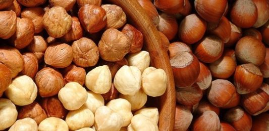 Fındık ve ceviz, sofraların hem lezzet hem de besin değeri açısından vazgeçilmez unsurları arasında yer alıyor. Özellikle kahvaltıdan ana öğünlere, tatlılardan atıştırmalıklara kadar geniş bir kullanım alanına sahip olan bu kuruyemişler, zengin içeriğiyle sağlıklı beslenmenin destekçisi konumunda. Türkiye, özellikle fındık üretiminde dünya lideri olması sebebiyle sofralarda tazeliği ve kalitesiyle öne çıkan fındığı bolca kullanır. Ceviz ise hem taze hem de kırılmış olarak mutfaklarda önemli bir yer tutar. Konulu bir haber görseli.