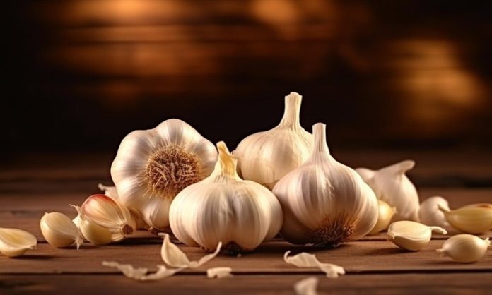 Sarımsak ve baharatlar, mutfakların vazgeçilmez lezzet unsurları arasında yer alır. Sofralarda yemeğin tadını ve aromasını zenginleştiren bu doğal malzemeler, hem sağlık açısından hem de damak tadı açısından büyük önem taşır. Özellikle sarımsağın kendine has keskin aroması ve güçlü etkisi, yemeklere derinlik katar. Baharatlar ise çeşidine göre yemeğe renk ve karakter kazandırır. Konulu bir haber görseli.