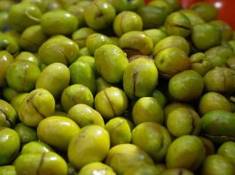 Yeşil Zeytin: Sofralarda Sağlık ve Lezzet Bir Arada Yeşil zeytin, binlerce yıllık bir geçmişe sahip. Tarih boyunca birçok uygarlık için hem besin kaynağı hem de kültürel bir sembol olmuştur. Antik dönemlerde kutsal sayılan zeytin ağacı, barışın ve bolluğun işareti olarak görülmüş, sofralara sunduğu yeşil zeytin ile insanlığın yaşamına değer katmıştır.