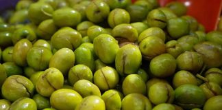 Yeşil zeytin, binlerce yıllık bir geçmişe sahip. Tarih boyunca birçok uygarlık için hem besin kaynağı hem de kültürel bir sembol olmuştur. Antik dönemlerde kutsal sayılan zeytin ağacı, barışın ve bolluğun işareti olarak görülmüş, sofralara sunduğu yeşil zeytin ile insanlığın yaşamına değer katmıştır.