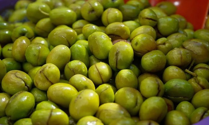 Yeşil zeytin, binlerce yıllık bir geçmişe sahip. Tarih boyunca birçok uygarlık için hem besin kaynağı hem de kültürel bir sembol olmuştur. Antik dönemlerde kutsal sayılan zeytin ağacı, barışın ve bolluğun işareti olarak görülmüş, sofralara sunduğu yeşil zeytin ile insanlığın yaşamına değer katmıştır.