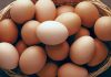 Yumurta, bağışıklık sistemini güçlendiren vitamin ve mineraller açısından da oldukça zengindir.