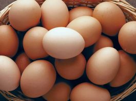 Yumurta Faydaları Ve Mutfaktaki Önemi Yumurta, bağışıklık sistemini güçlendiren vitamin ve mineraller açısından da oldukça zengindir.