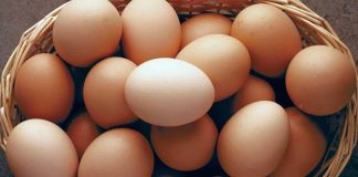 Yumurta, bağışıklık sistemini güçlendiren vitamin ve mineraller açısından da oldukça zengindir.