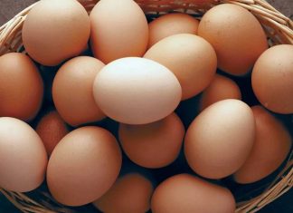 Yumurta, bağışıklık sistemini güçlendiren vitamin ve mineraller açısından da oldukça zengindir.