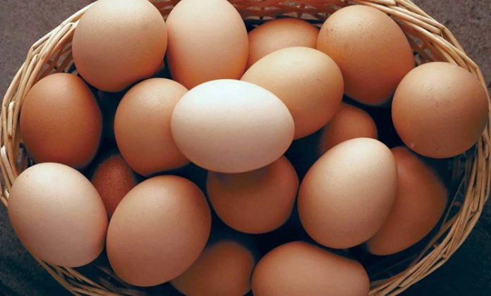 Yumurta, bağışıklık sistemini güçlendiren vitamin ve mineraller açısından da oldukça zengindir.