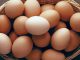 Yumurta, bağışıklık sistemini güçlendiren vitamin ve mineraller açısından da oldukça zengindir.