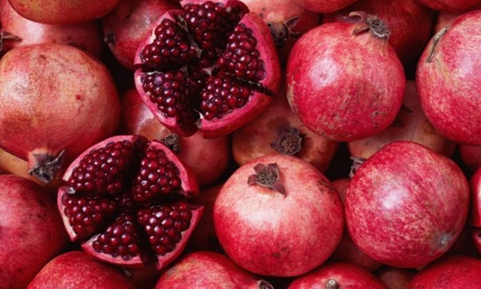 Nar, binlerce yıldır farklı kültürlerde bereketin, bolluğun ve sağlığın simgesi olmuştur. Antik dönemlerden günümüze kadar gerek mitolojide gerekse dini inanışlarda kendine özel bir yer edinmiştir. Doğu toplumlarında özellikle kış aylarında tüketilen nar, sağlıkla ilişkilendirilmiş ve çeşitli ritüellerde sembol olarak kullanılmıştır. Konulu bir haber görseli.
