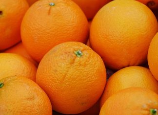 Kış aylarının vazgeçilmez meyvelerinden biri olan portakal, sadece lezzetiyle değil içerdiği besin değerleriyle de dikkat çekiyor. Özellikle C vitamini açısından oldukça zengin olan bu meyve, bağışıklık sistemini güçlendirmede önemli bir role sahip. Soğuk algınlığı ve grip gibi kış hastalıklarına karşı doğal bir koruma sağladığı için portakal, günlük beslenme alışkanlıklarında mutlaka yer alması gereken bir gıda olarak öne çıkıyor. Bunun yanı sıra, içerdiği potasyum, kalsiyum ve lif sayesinde hem kalp sağlığını destekliyor hem de sindirim sistemini düzenliyor. Konulu bir haber görseli.