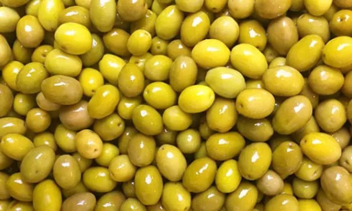 Yeşil zeytin, Akdeniz mutfağının en bilinen tatlarından biri olarak sofralarda önemli bir yere sahiptir. Kahvaltıdan salatalara, mezelerden ana yemeklere kadar geniş bir kullanım alanı sunar. Özellikle ferah aroması ve hafif tuzlu yapısı sayesinde her yaştan insanın severek tükettiği bir besindir. Aynı zamanda içerdiği sağlıklı yağlar ve vitaminler sayesinde dengeli bir beslenme için de idealdir. Konulu bir haber görseli.
